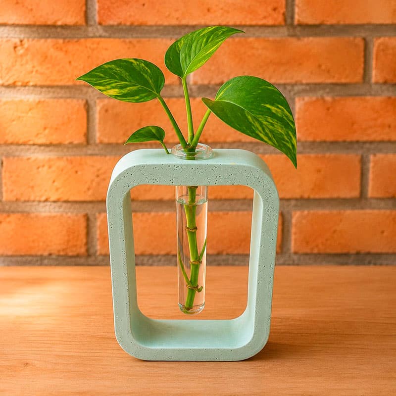 Enfeite Decorativo